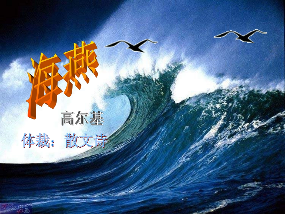 海燕课改合格课_第1页