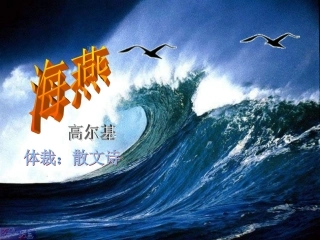 海燕课改合格课