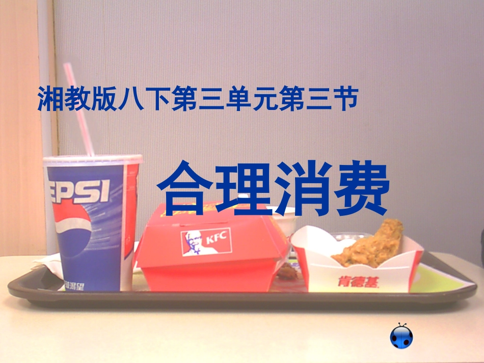 第三节合理消费_第1页