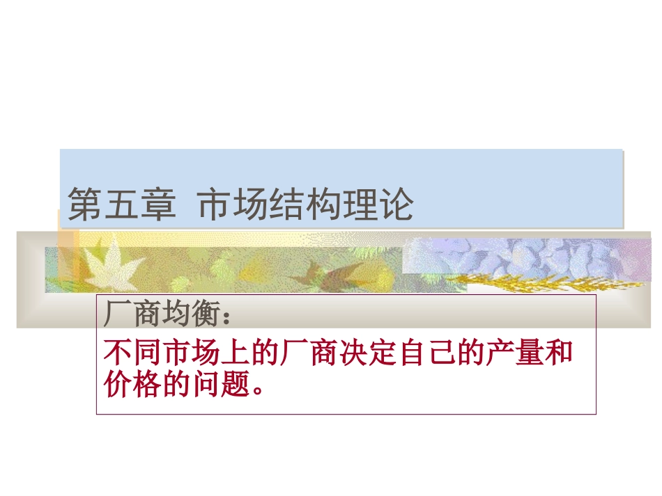 伊犁函授第五章市场结构理论_第1页