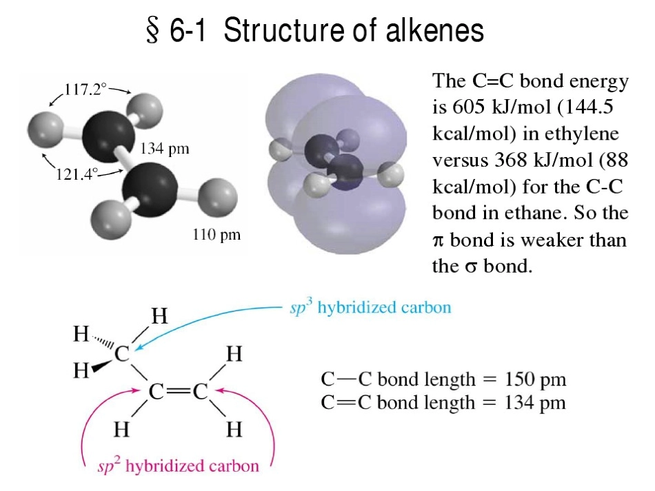 复旦大学考研有机化学英文PPT版-第七章--烯烃_第2页