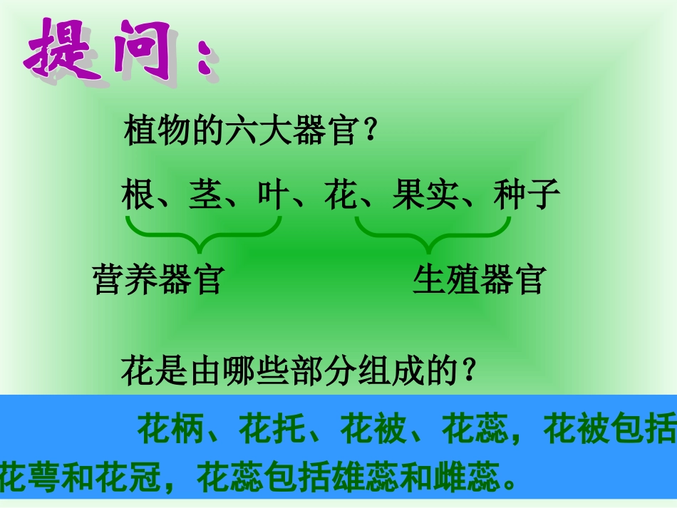 初二生物下册课件植物的生殖PPT课件_第2页