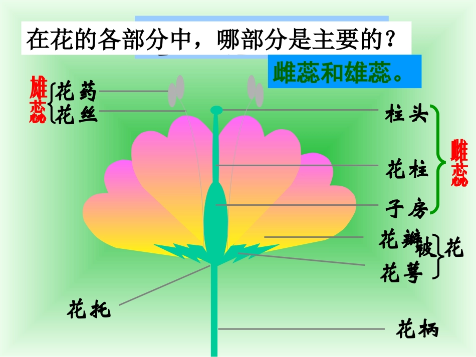 初二生物下册课件植物的生殖PPT课件_第3页