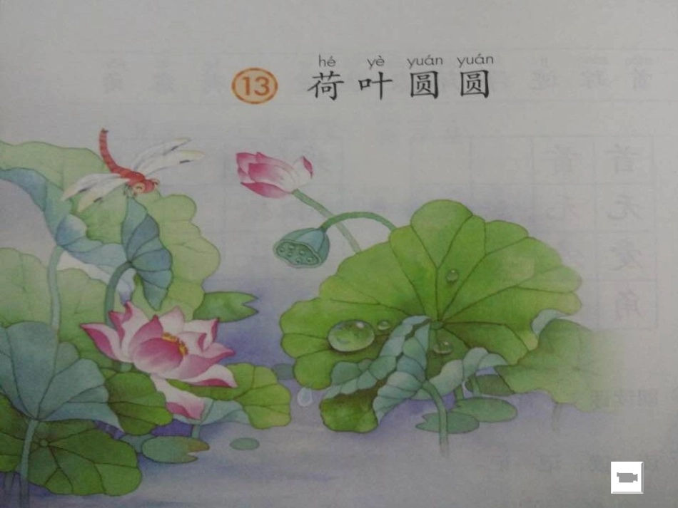 (部编)人教语文2011课标版一年级下册《荷叶圆圆》第一课时课件-(3)_第3页