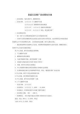 圣诞元旦推广活动策划方案(12P)