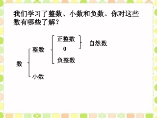数的认识回顾与整理1-数与代数