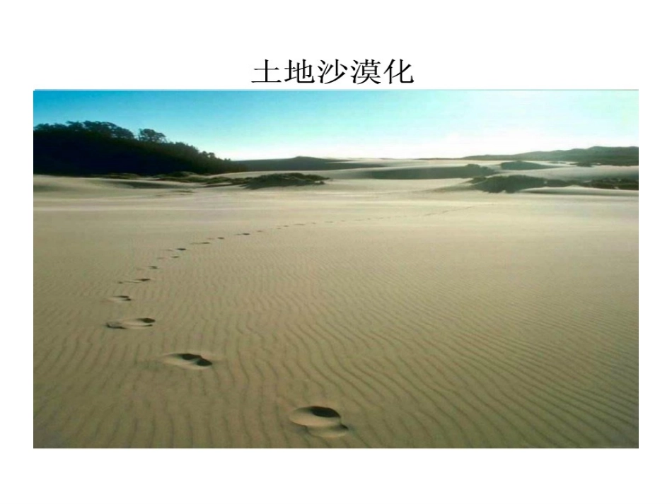 第二章第一节荒漠化的防治_第3页