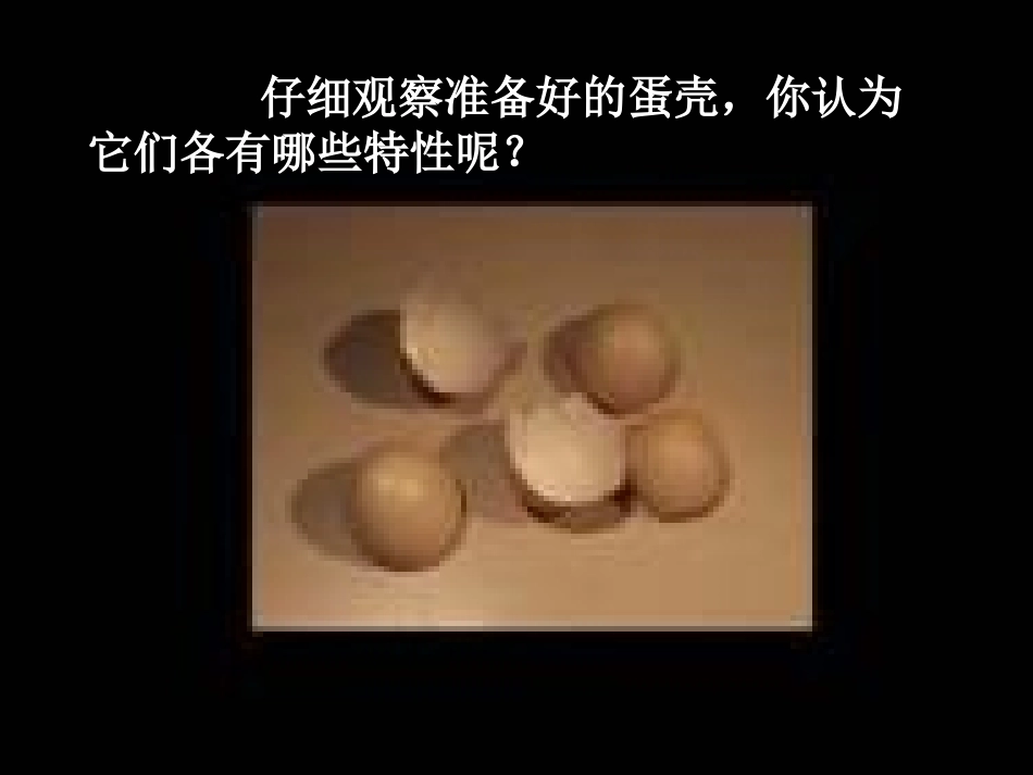 青岛版小学六年级科学上册《生物的启示》课件1_第1页