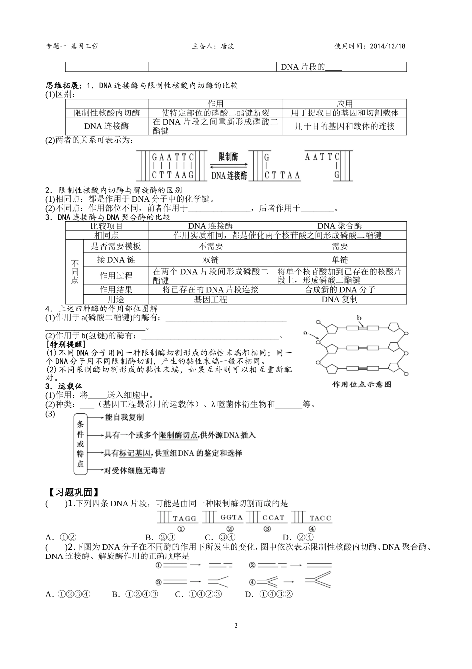 1.1DNA重组技术的基本工具_第2页