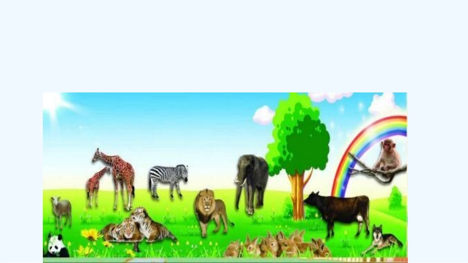 (部编)人教语文2011课标版一年级下册17课-动物王国开大会_第3页