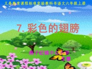 《彩色的翅膀》课件