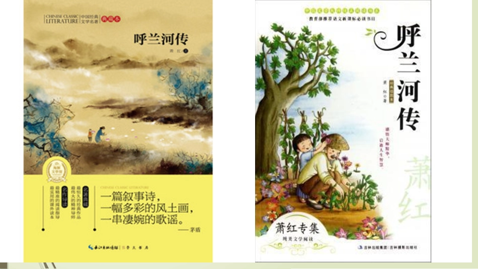 《呼兰河传》_第2页