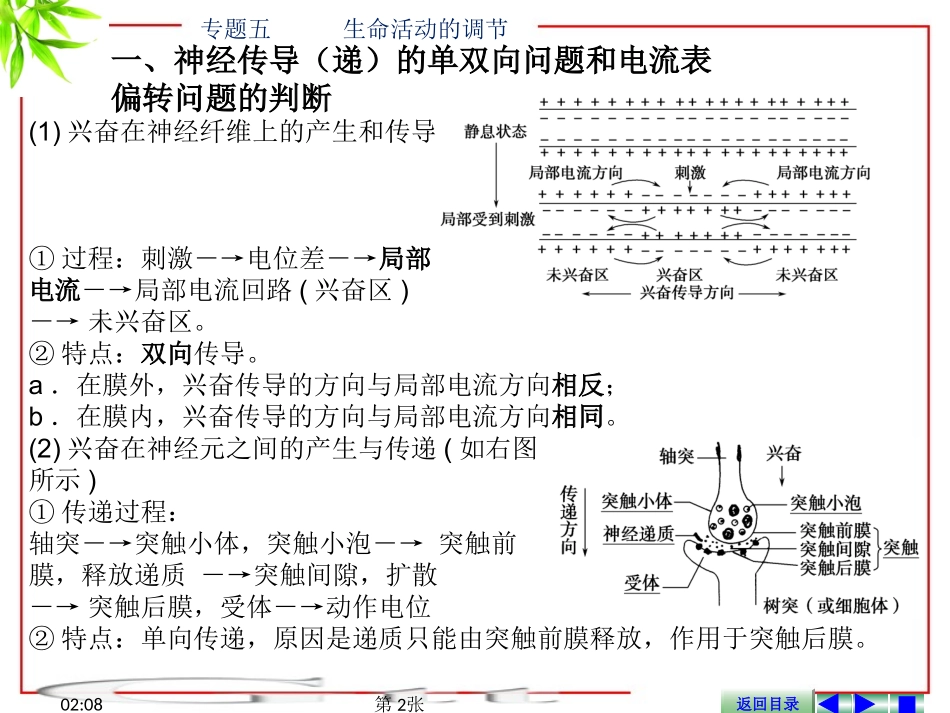 专题五----生命活动的调节_第2页