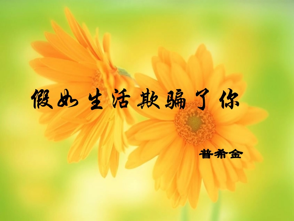 阮展祥《诗两首·假如生活欺骗了你·未选择的路》课件3_第2页