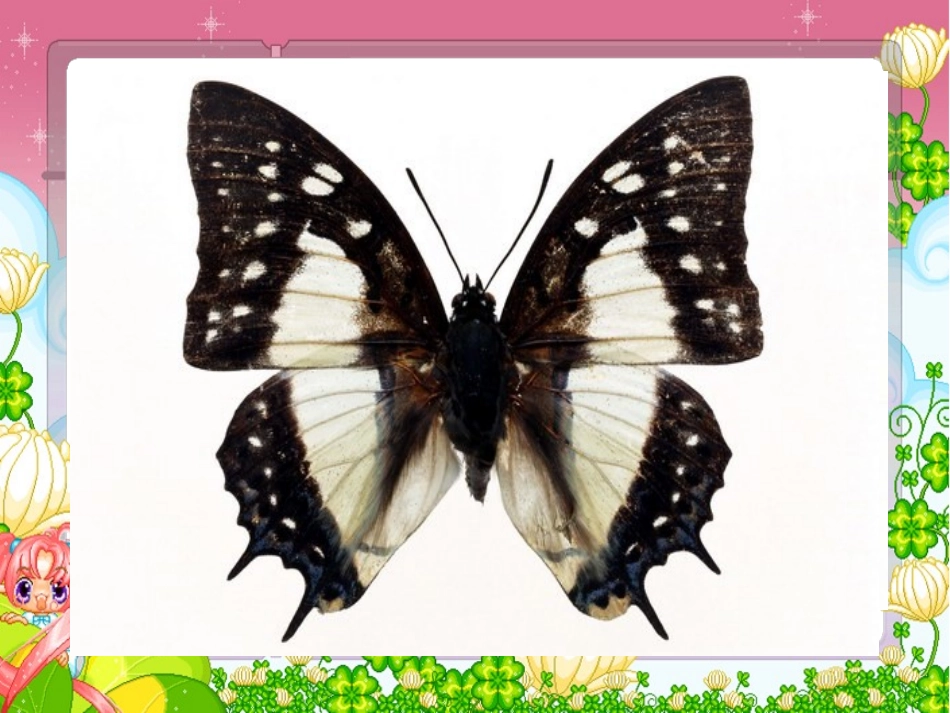 PEP小学英语五年级下册-第六单元Period-1-课件_第2页