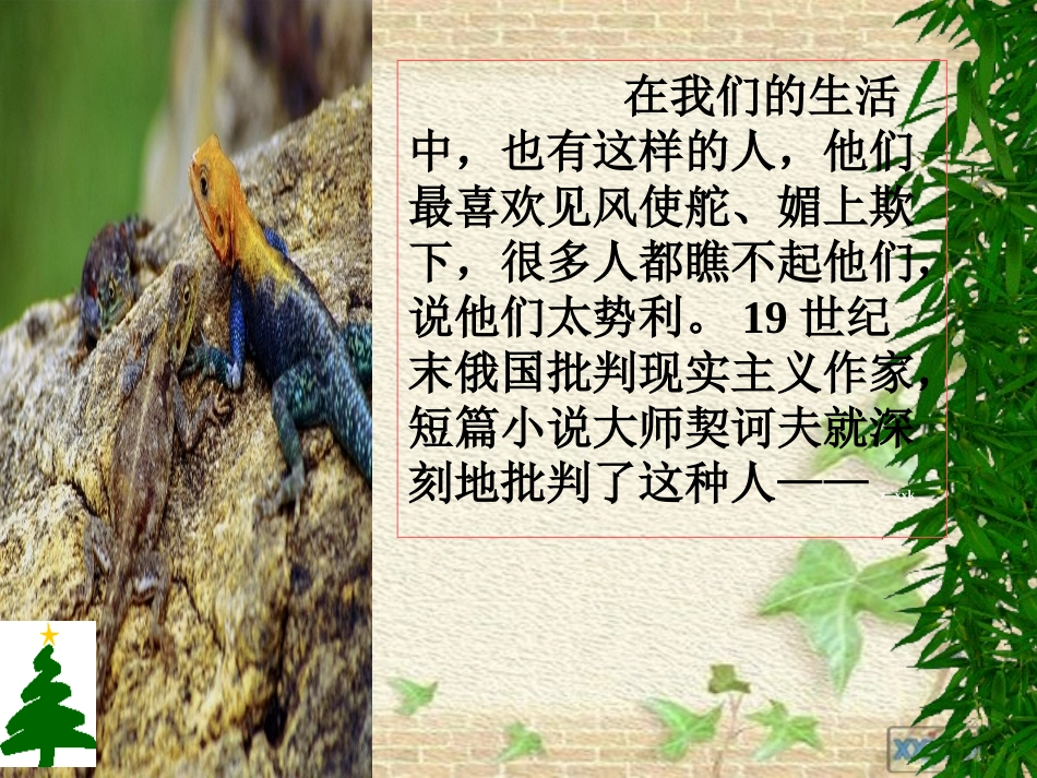 《变色龙》课件(2)_第2页