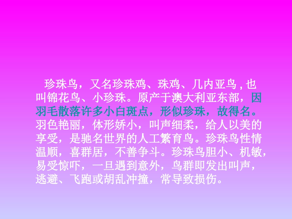 珍珠鸟第一课时_第2页