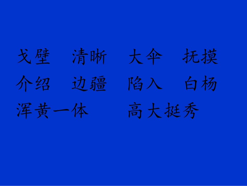 白杨教学课件_第3页