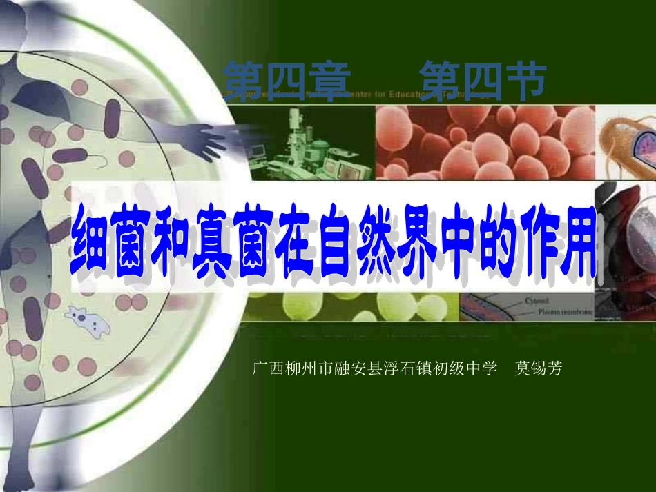 2013秋人教版八上第四节《细菌和真菌在自然界中的作用》ppt课件._第1页