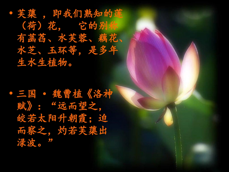 周敦颐《爱莲说》_第2页