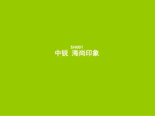 地产营销策划：楼盘vi形象设计平面广告优秀案例13