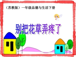 别把花草弄疼了课件