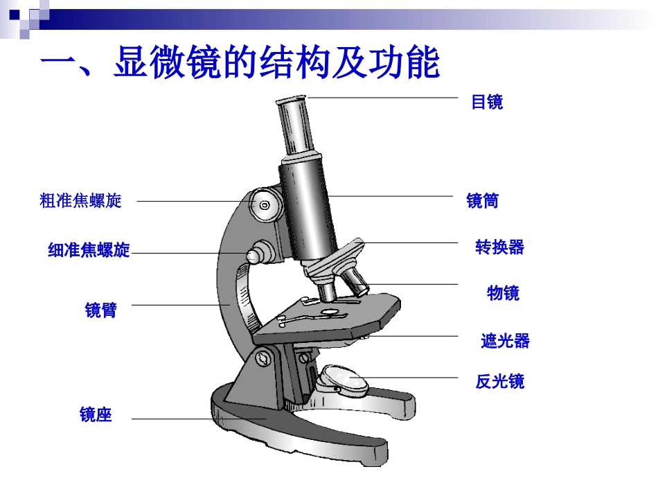 显微镜的结构与使用(复习)_第2页