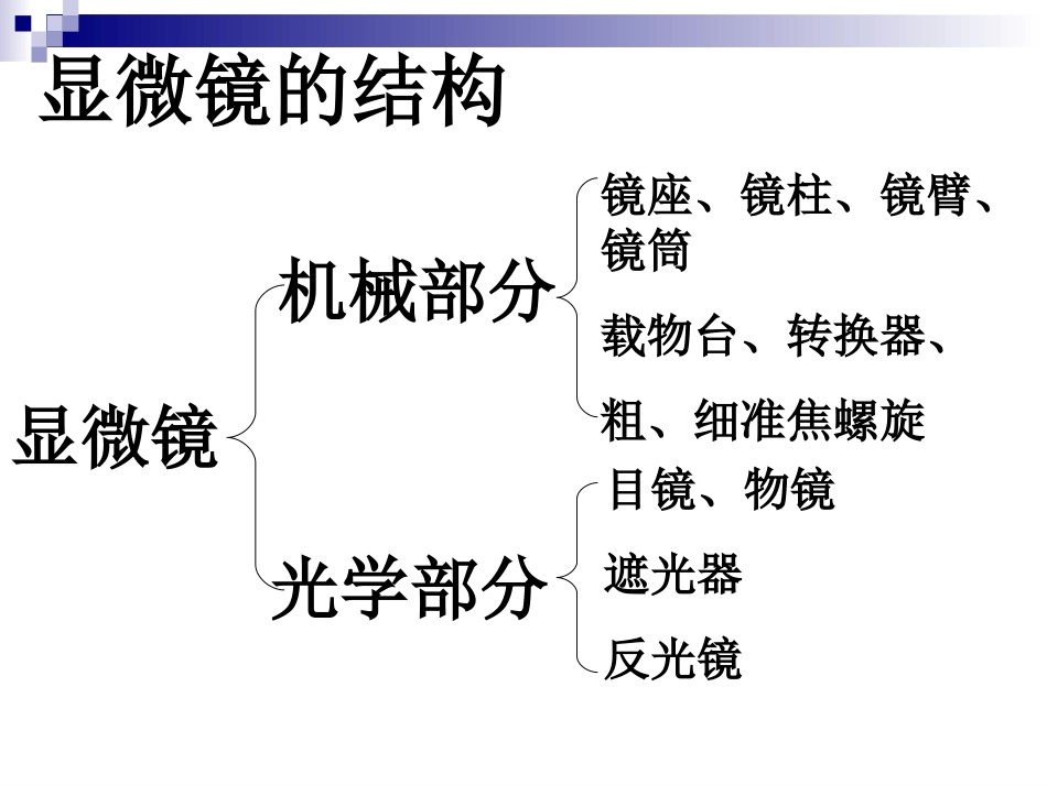显微镜的结构与使用(复习)_第3页