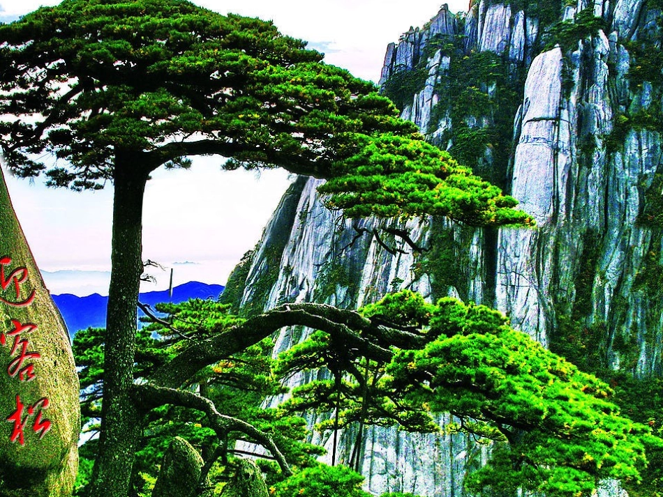 6.梅花魂._第3页