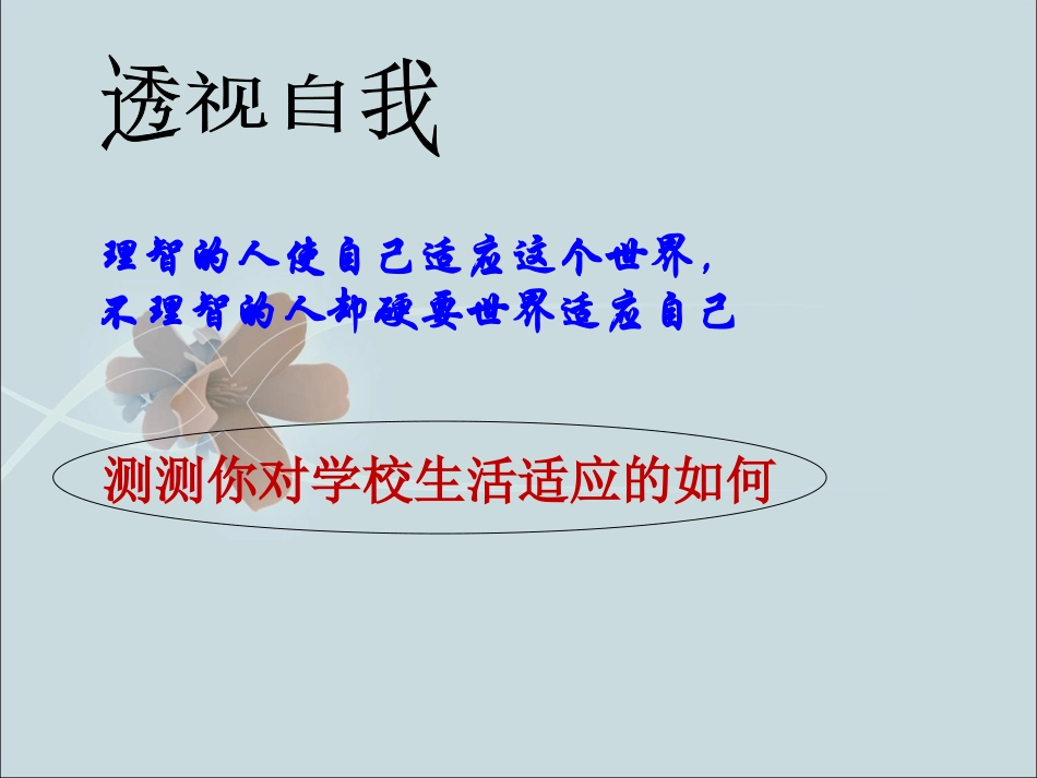测测你对新环境的适应力_第1页