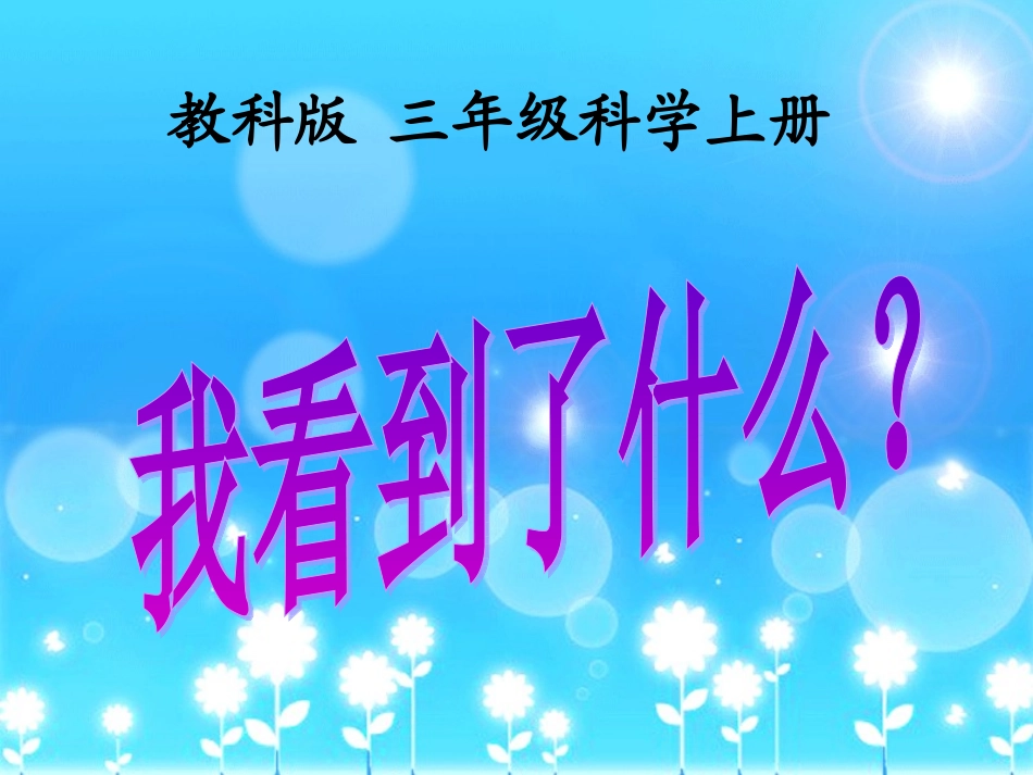 《我看到了什么》教学课件1_第1页