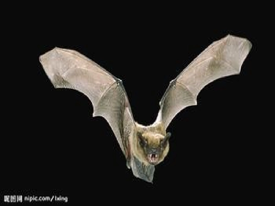 颐和园的廊与画_第2页