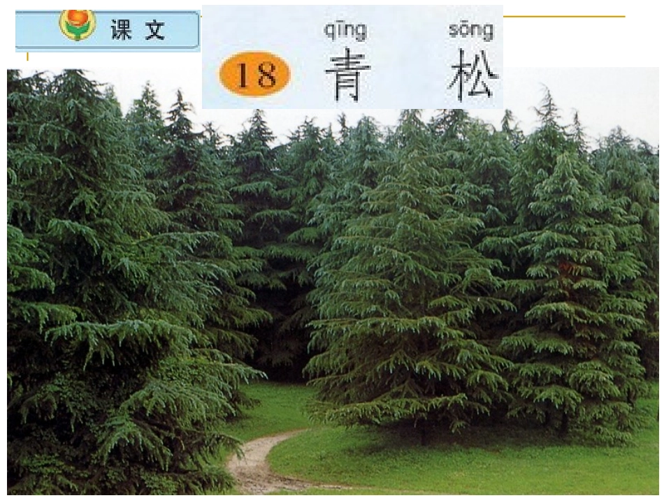 18《青松》_第1页