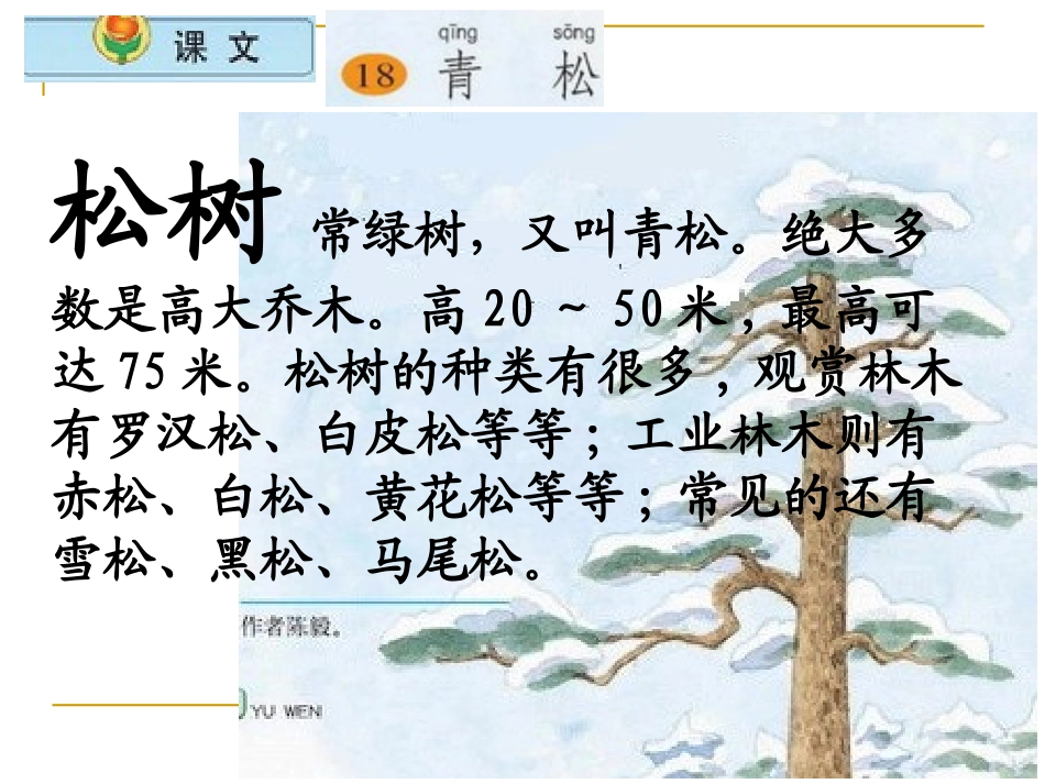 18《青松》_第3页