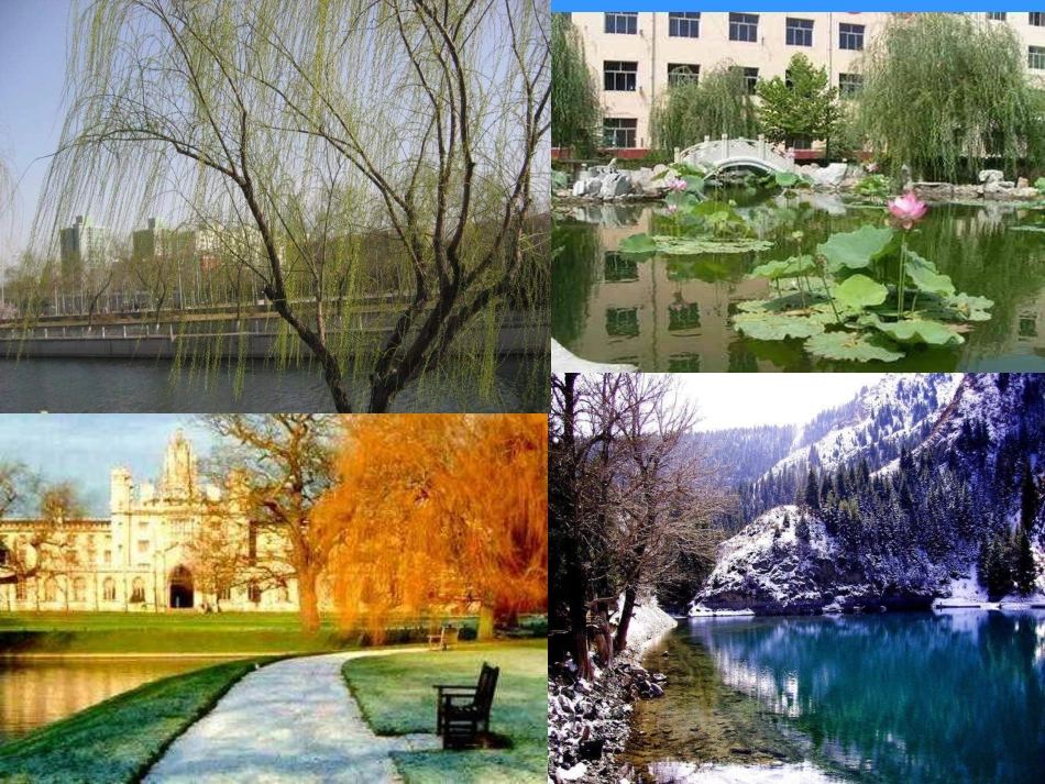 青岛版小学科学六年级上册《四季更替》课件_第1页