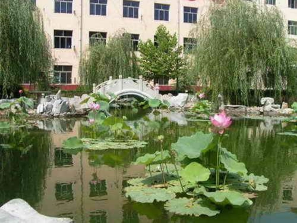 青岛版小学科学六年级上册《四季更替》课件_第3页