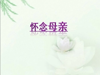 《怀念母亲》优质教学课件(第一课时)