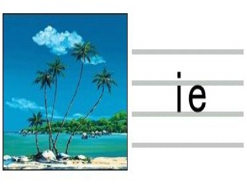 (部编)人教2011课标版一年级上册11-ie-üe-er_第2页