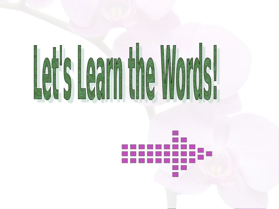 Unit-3-A-lucky-Day-课件1_第2页