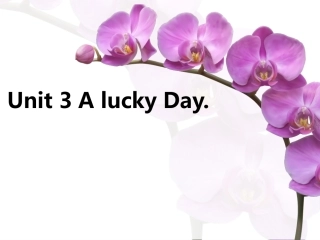 Unit-3-A-lucky-Day-课件1