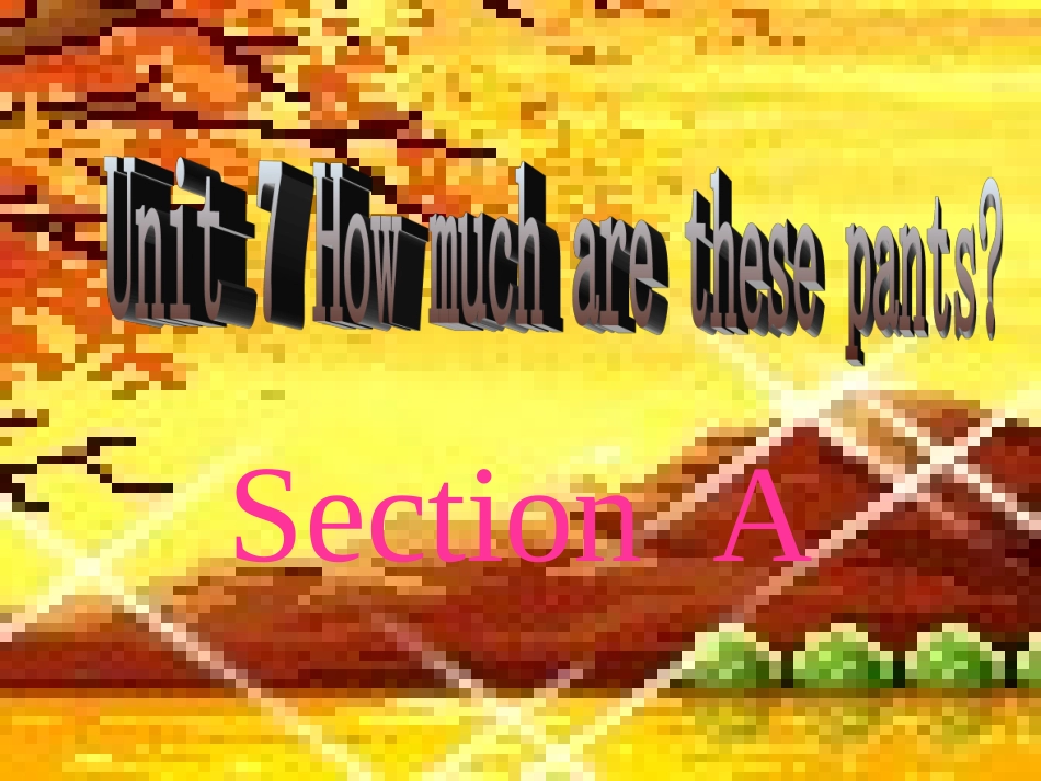 howmucharethesepants_第1页