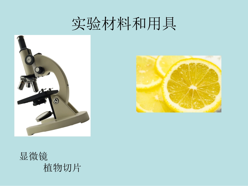 实验材料和用具_第1页