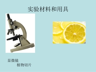 实验材料和用具