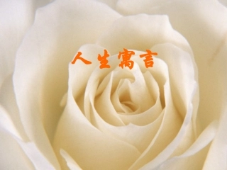 《人生寓言》PPT课件
