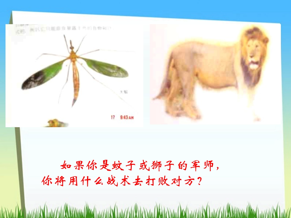 人教版七年级语文上册2《蚊子与狮子》PP_第3页