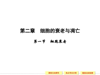 第二章第一节-细胞衰老
