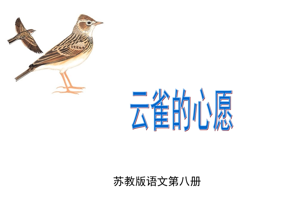 第19课《云雀的心愿》_第1页