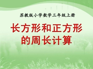 长方形和正方形的周长计算》教学课件-常村镇实验学校-郭杏丽