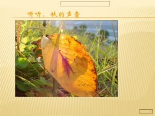 听听秋的声音-PPT课件