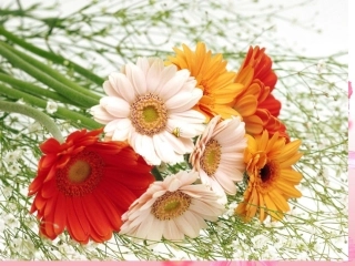 我的父亲和母亲